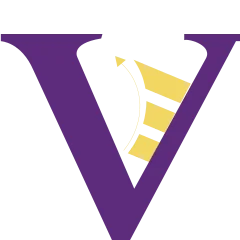 Vizora logo
